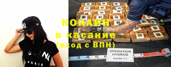 трава Надым