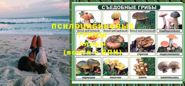 apvp Тутаев