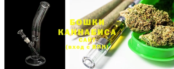 трава Надым