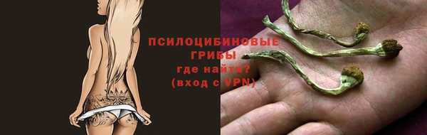 трава Надым