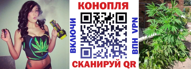 Конопля VHQ хочу наркоту Балей